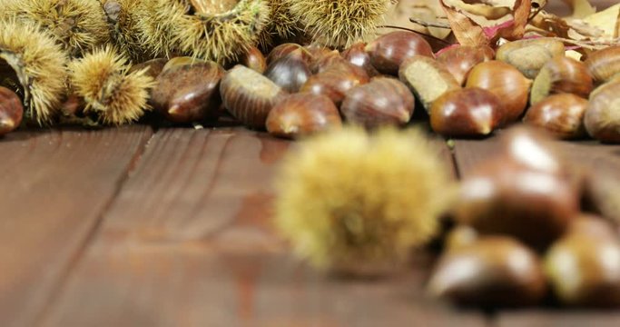 Castagne e ricci