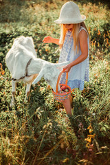  Little cute girl blonde feeds a goat on a farm from a basket. A girl in a dress and hat 6 years old feeds a pet with plums.