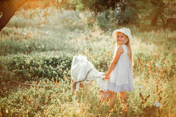  Little cute girl blonde feeds a goat on a farm from a basket. A girl in a dress and hat 6 years old feeds a pet with plums.
