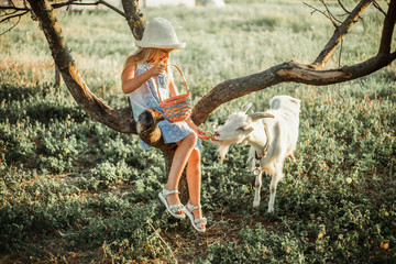  A girl sits on a tree and feeds a goat. Blonde on the farm, pet grooming.
