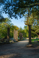 Fototapeta na wymiar The anciant Olympia in Greece