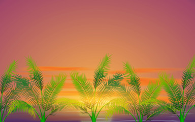 Naklejka na ściany i meble landscape of coconut tree on the beach in sunset