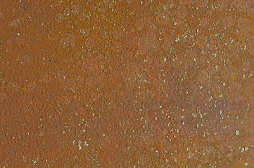 rusted metal sheet with fungus, background