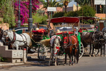 Fototapeta na wymiar Carriages in Marrakesch, Morocco