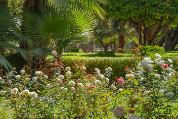Moroccan mediterranean gardens (Marrakech, Morocco)