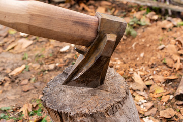 Ax stuck in the stump
