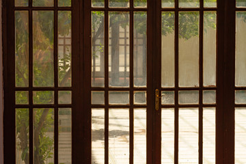 Garden through a glass door 