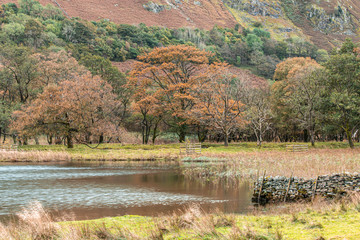 Brothers Water at Autumn in Lake District