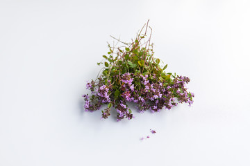 Summer medical herbs bunch. Thyme plant.