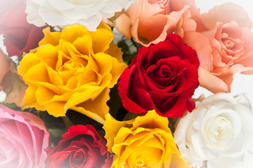 Bouquet of multicolored roses