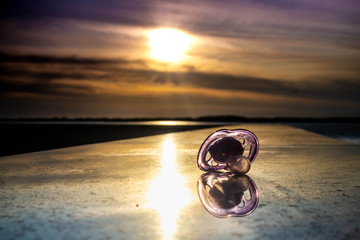 Blue baby dummy/ pacifier lost in the garden