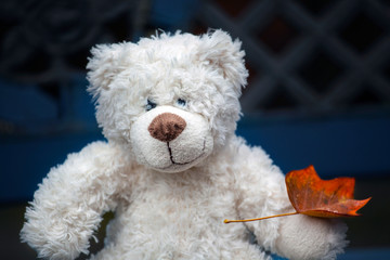 wool bear autumn leaf bench 