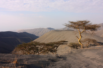 The Rift Valley