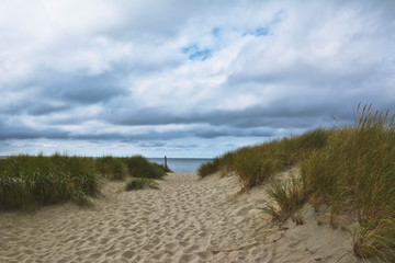 Path leading through sand dunes with grass at beach of island Texel in North Netherlands on cloudy sky day with ocean in background