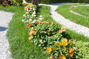 flowers in the garden