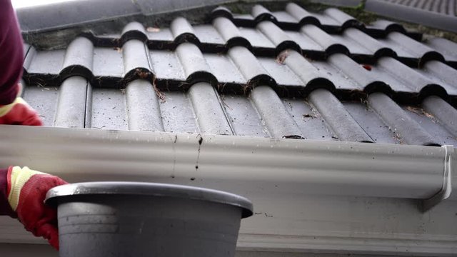 Clearing leaves from the eaves of house raintrough.