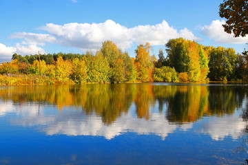 Fototapeta na wymiar yellow autumn trees on the edge of the pond illuminated by the rays of the sun. Reflection of yellow foliage and sky with clouds in calm water. Autumn landscape by the water. A mirror image of nature