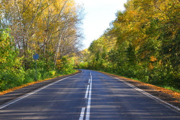 Asphalt road with markings going into the distance. Trees with autumn yellow and green foliage stand along the road near the roadside. Sunny autumn day.