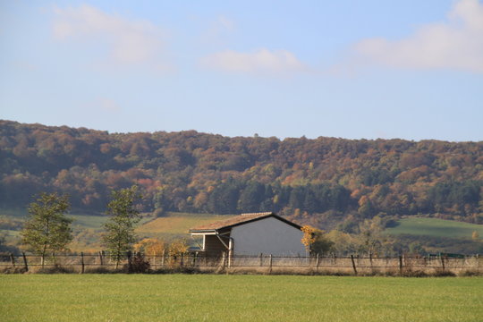 Abri de parc