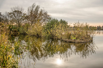 Tranquil autumn scene with a little peninsula in one of the Reeuwijke Plassen (Reeuwijk Lakes), overgrown with reeds, bushes and trees on a calm day in november