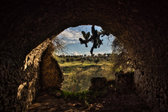 Ruins of ancient Briatico, destroyed by the great earthquake of 1783.