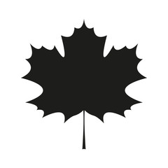 Icon of a maple leaf. Simple vector illustration.