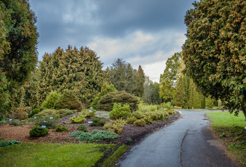 Salaspils, Latvia. - October 9, 2019: Hiking trail through park with slide of fir-trees. Autumn landscape with dramatic autumn sky. Fall. National Botanic Garden of Latvia in Salaspils.
