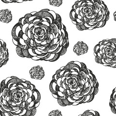 Flowers vector seamless pattern, decorative floral background, hand drawn ranunculus