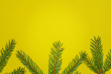 Green fir branch Christmas tree on yellow background. Happy New year and Merry Christmas concept. Copyspace for text.