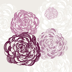 Flowers vector illustration, decorative floral background, hand drawn ranunculus