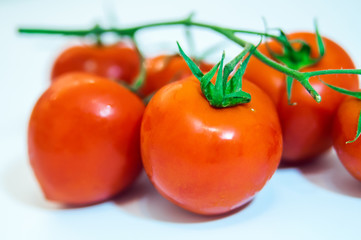 Collection of tomatoes with a light shadows, isolated on white,