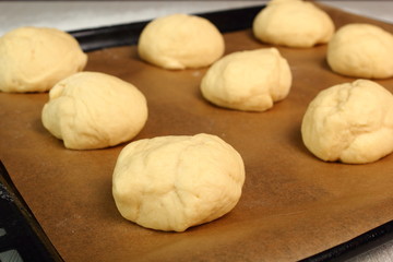Fototapeta na wymiar Place buns onto baking tray. Making Yeast Sweet Roll Bun