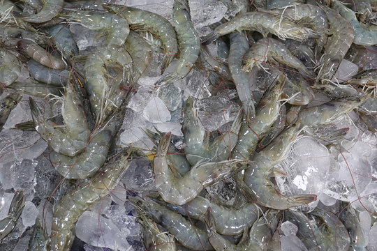 Pile of fresh White Leg sea shrimp sold in the supermarket.