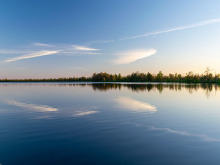 landscape with bog lake and tree silhouettes, a blurred glare in the foreground