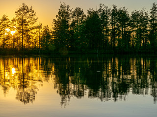 beautiful landscape with swamp lake at sunset, beautiful reflections of calm blurred lake water