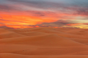 Fototapeta na wymiar Sand desert dunes sunset landscape view, picturesque landscape with sun, UAE.