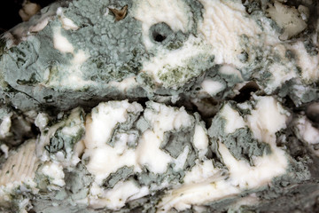 Close-up of soft blue cheese , macro shot
