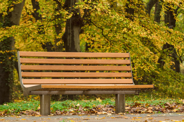 BENCH IN THE PARK - Colorful autumn in the city