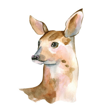 Watercolor Baby Deer Hand Painted Fawn Illustration isolated on white background
