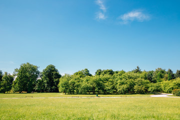 Cytadela Park, green field with blue sky in Poznan, Poland