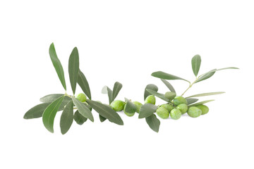 raw fresh green olives and leaves isolated on white background.