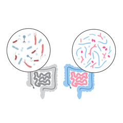 Vector illustration of human microbiota