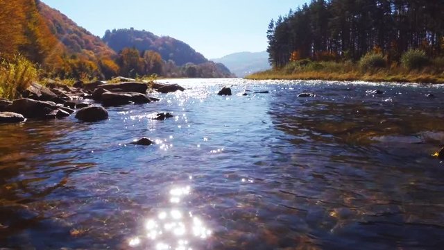 Mountain stream in sunny autumn day. Rytro, Poland.