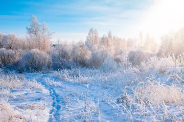 Schöne sonnige Winterlandschaft. Schneebedeckte Bäume und Fußweg in Finnland. © NBLX