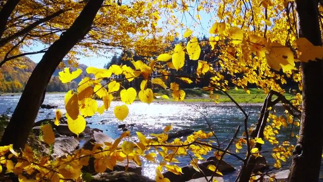 Poprad River in sunny autumn day. Rytro, Poland.