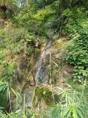 waterfall in the forest