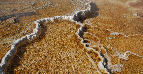 Fototapeta na wymiar yellowstone national park the nature