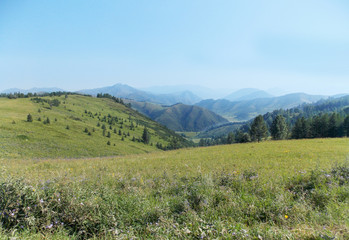 Fototapeta na wymiar Meadow and mountain landscape view, green grass, blue sky.