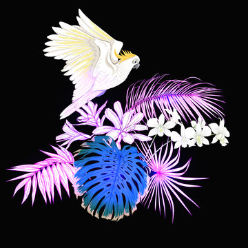 white cockatoo flying over tropical flowers clip art preview