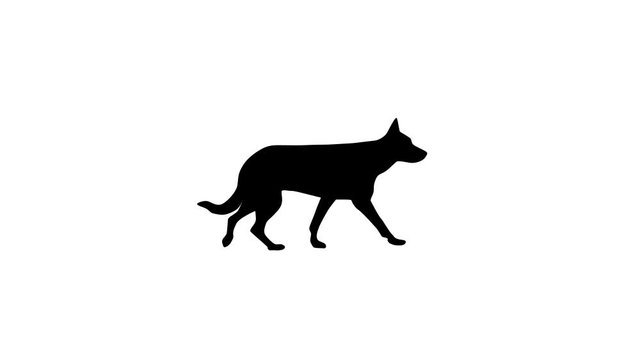 Silhouette of the black dog (German Shepherd dog), animation on the white background